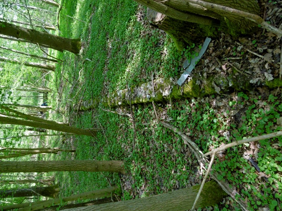P1000030