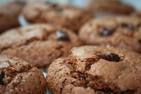 Chocolate baker muffin
