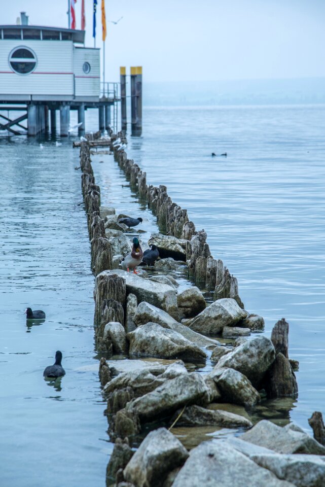 Immenstaad investors boardwalk