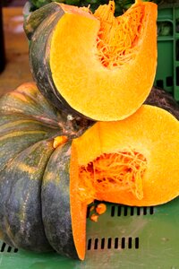 Gourd decorative squashes orange photo
