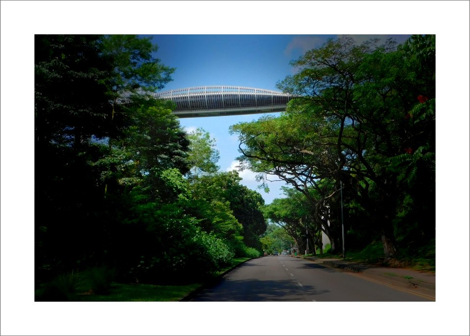 Henderson waves (Singapore)