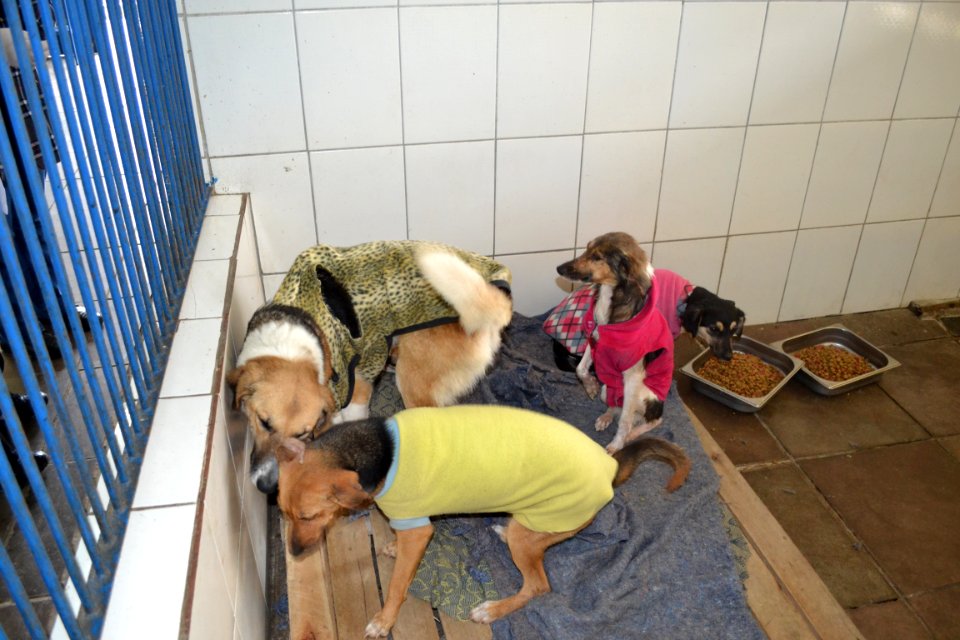 12.07.2018 - SMS - Campanha do agasalho - Foto -Janine Tomberg (33)