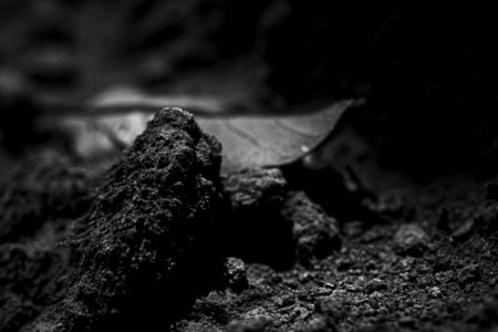 Dusty End