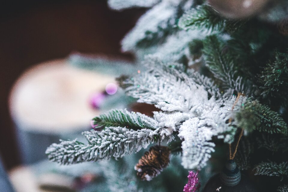 Christmas winter xmas