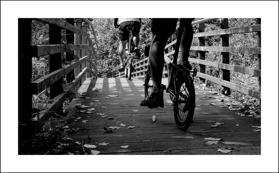 Cycling in the park photo