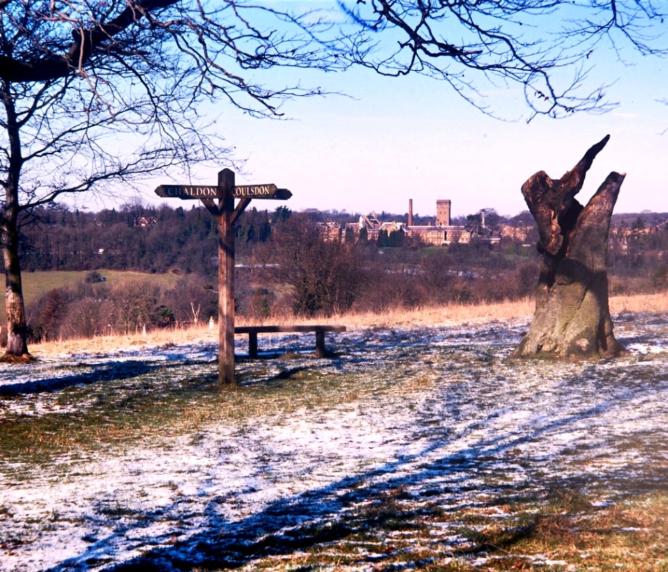 Old Cane Hill hospital buildings from the downs with signpost and tree.