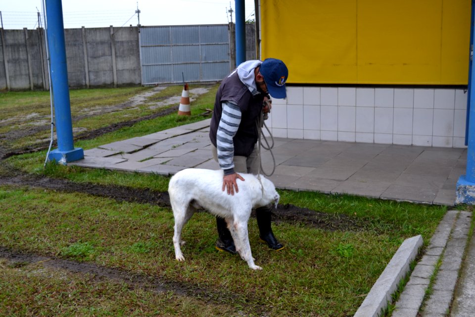 12.07.2018 - SMS - Campanha do agasalho - Foto -Janine Tomberg (11)