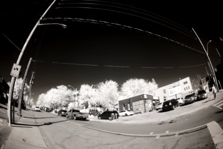 DSC 4045