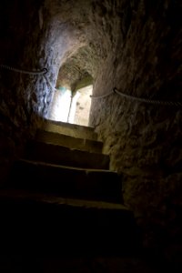 IMG 0566