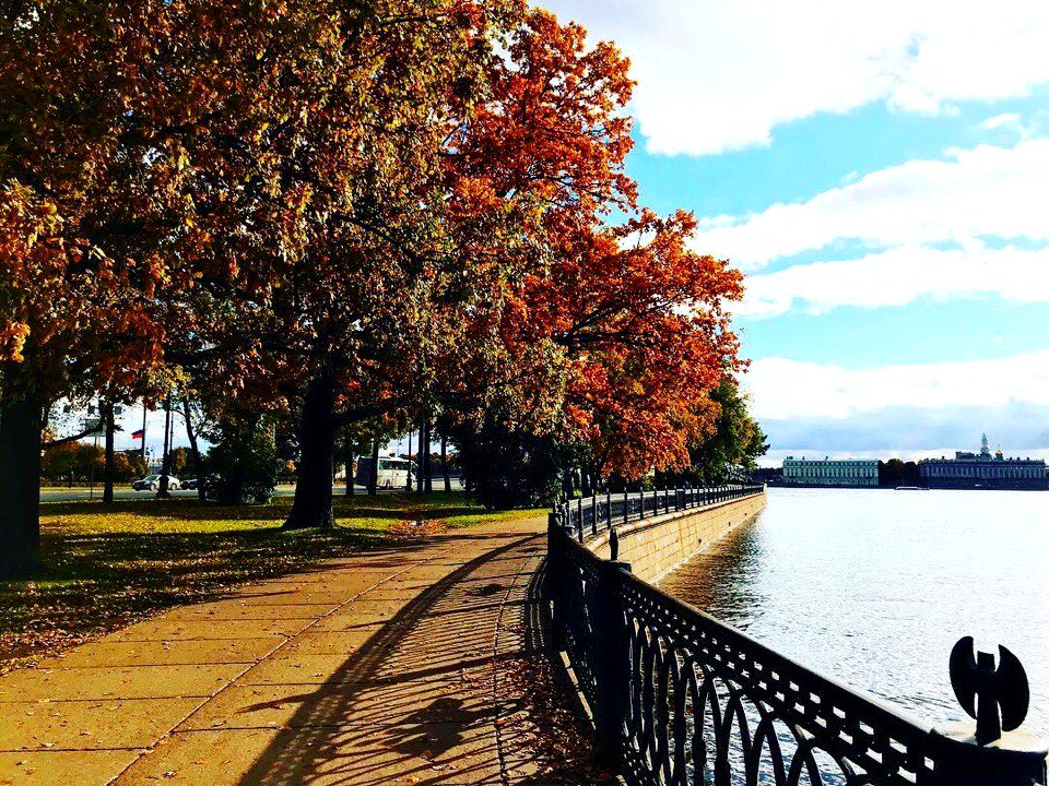 Bank of Neva River