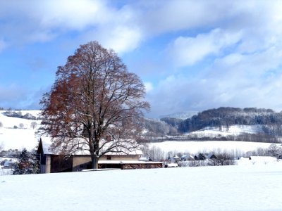 Winter village photo