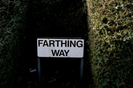 Farthing Way sign. photo