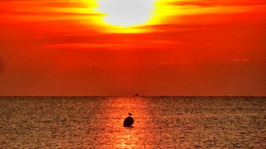 Albada a la Mediterrània, Badalona