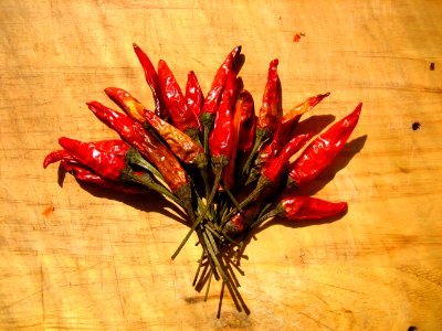 Bouquet of Dried Chili Peppers
