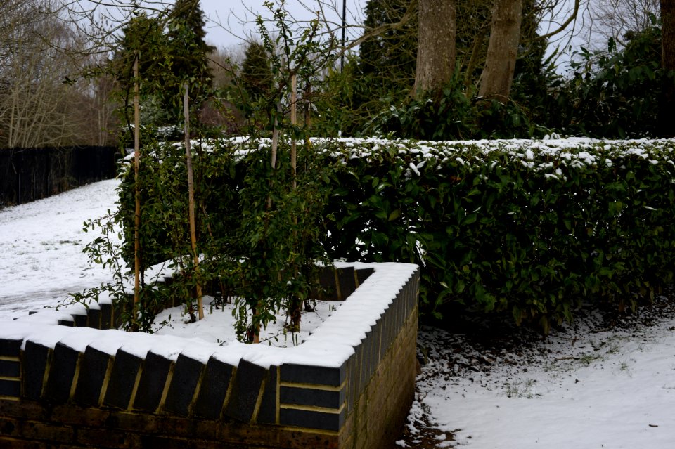 Coulsdon in the Snow