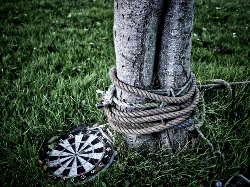 Bulls eye
