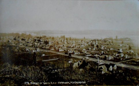 Birdseye View Hoquiam