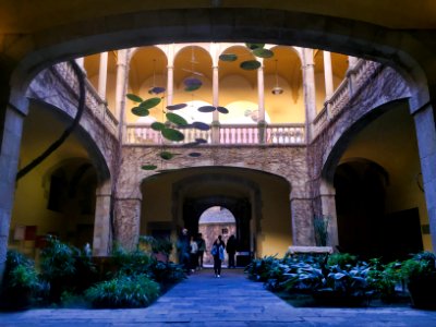 Palau del Lloctinent, Barcelona