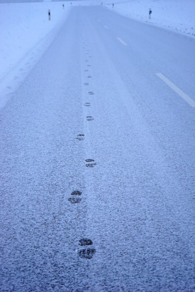 Away entlange the way footprints