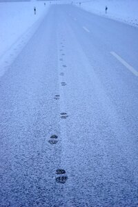 Away entlange the way footprints photo