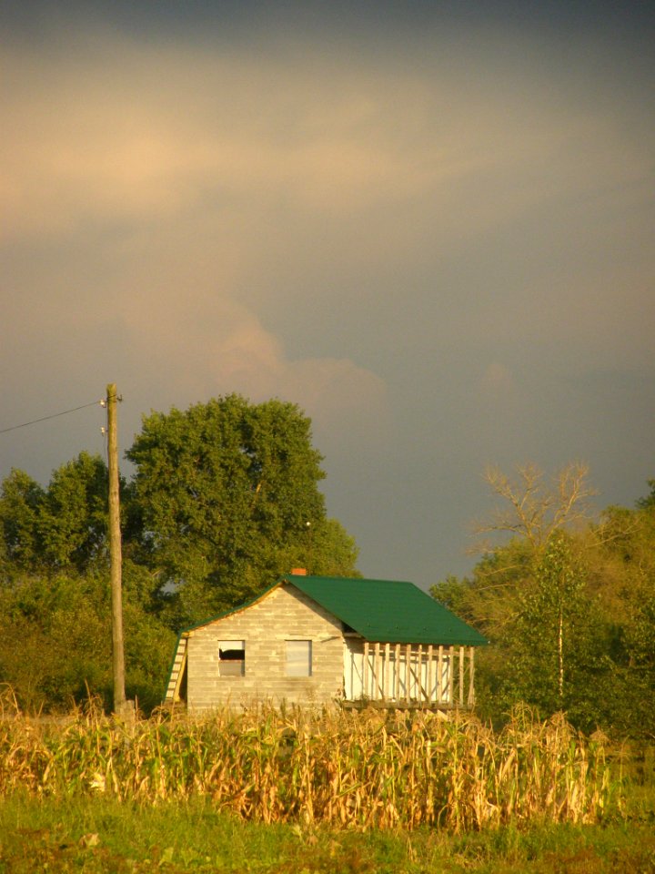 house of the rising sun