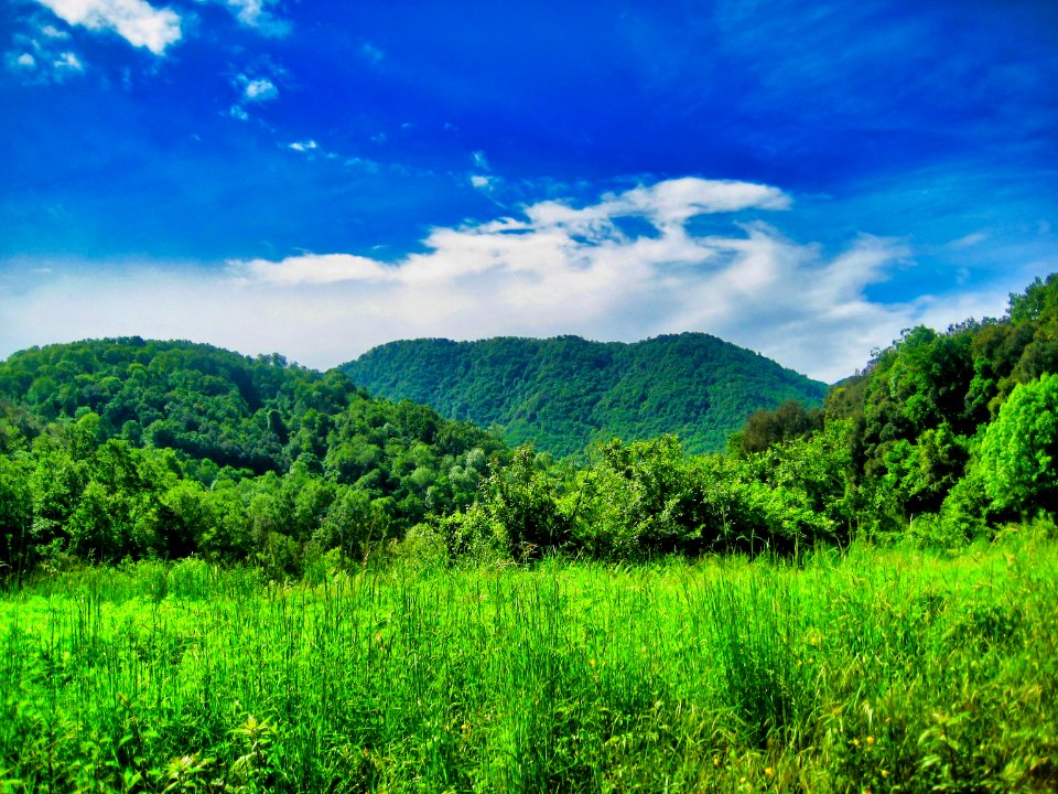 Parc Natural de la Zona Volcànica de la Garrotxa