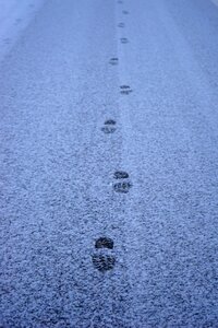 Away entlange the way footprints