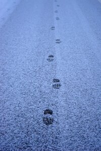 Away entlange the way footprints photo