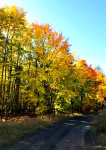 Beautiful autumn photo