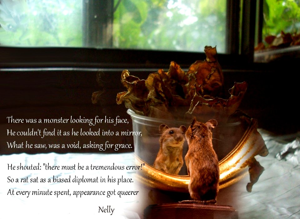A rat sat in his place: (poem)