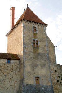 IMG 0778