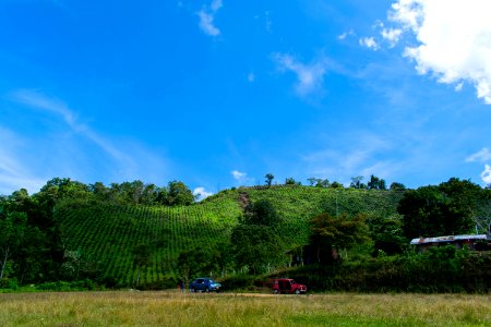 Montañas serranía del perijá codazzi cesar