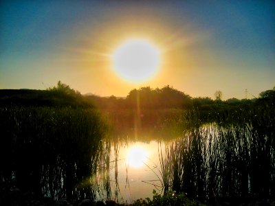 Rambla de l’Algoder, Real