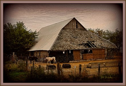 Old Horse Barn photo