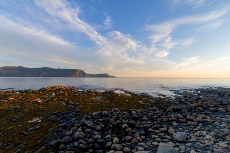 Lobster Head Cove