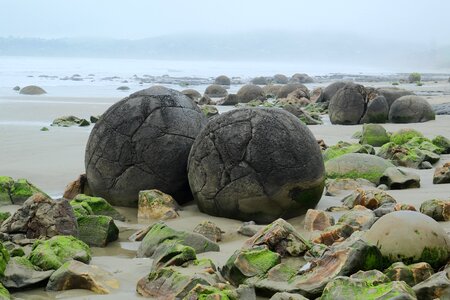 Sea nature rocks photo