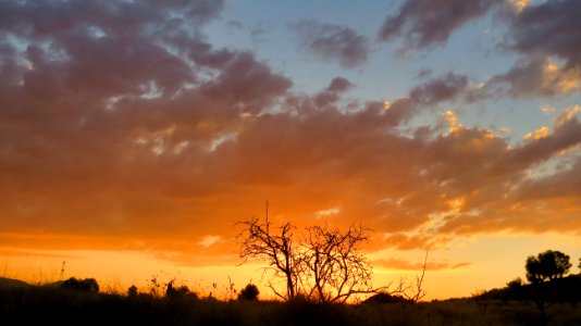 Posta de sol a Real