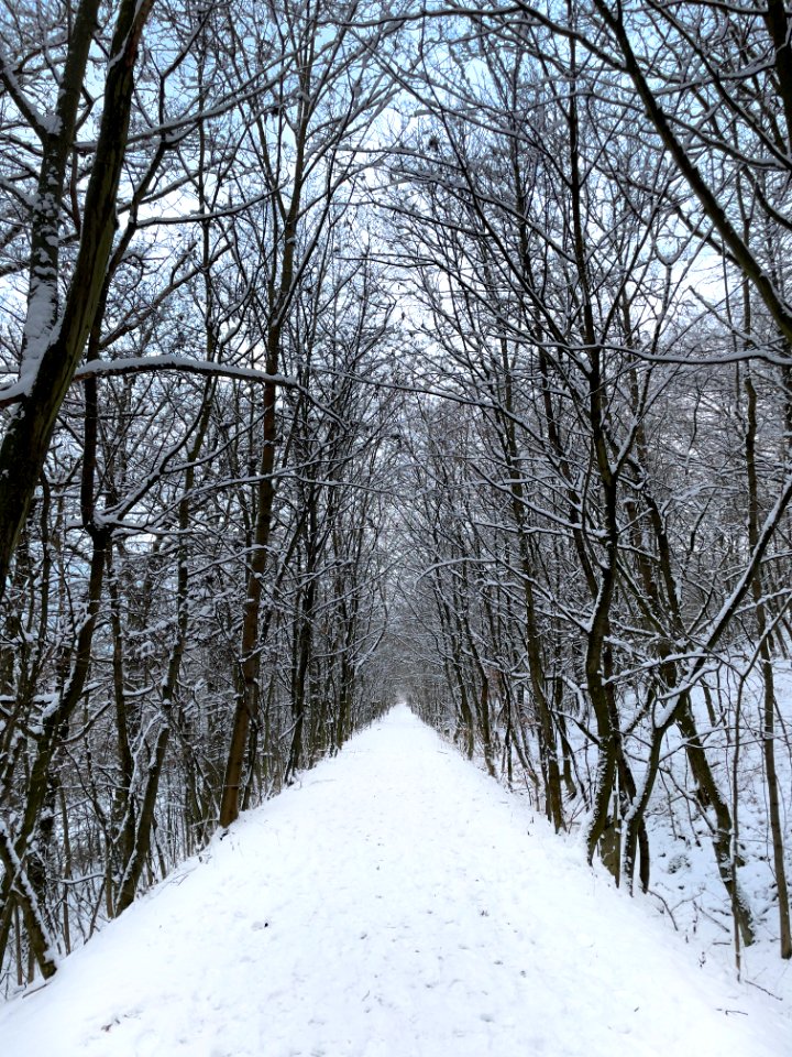 The path is the goal