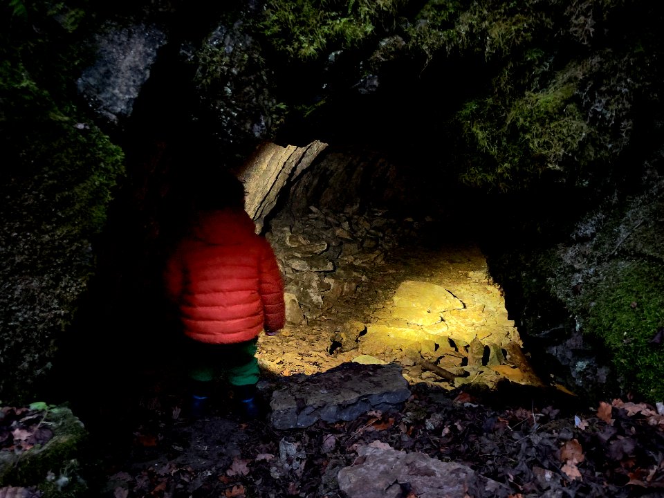 A little cave explorer
