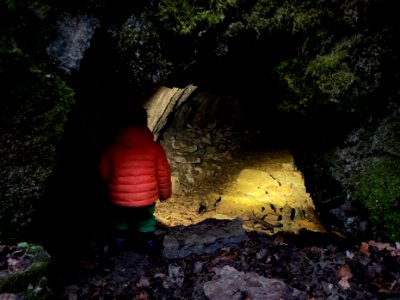 A little cave explorer