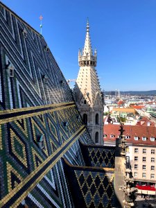 Stephansdom photo