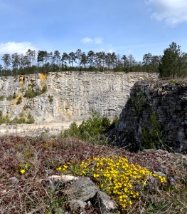 In a quarry photo