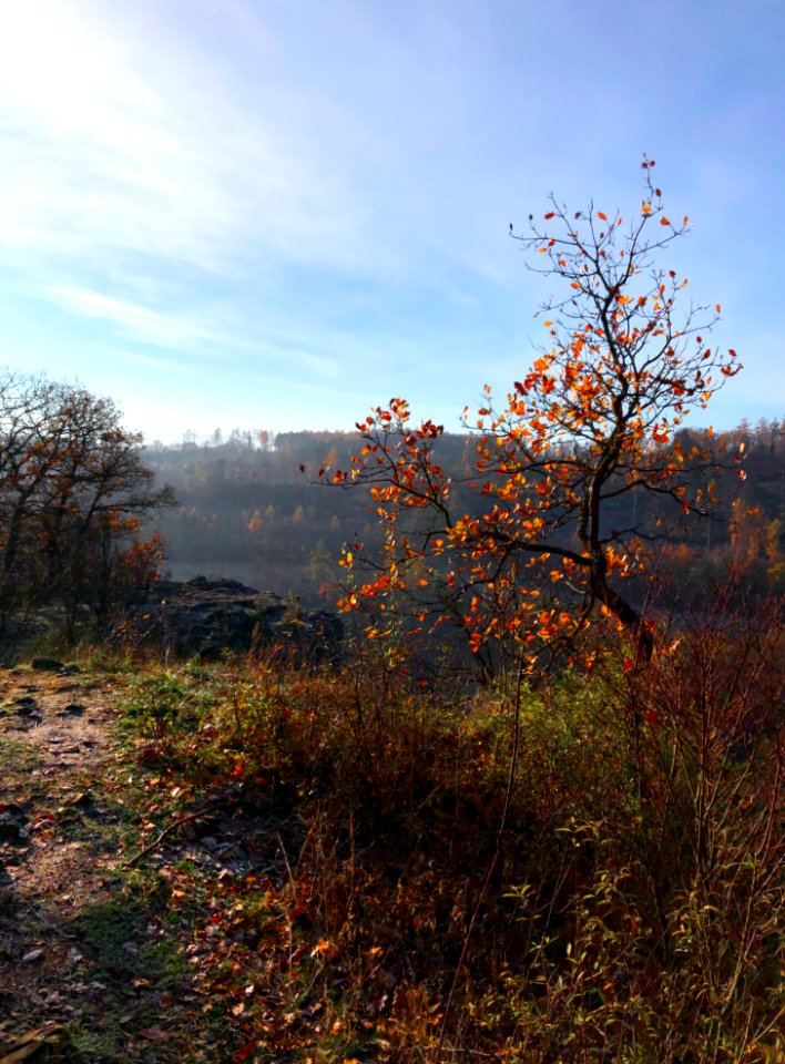 Last bits of autumn