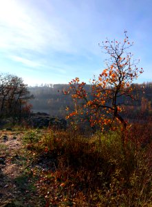 Last bits of autumn