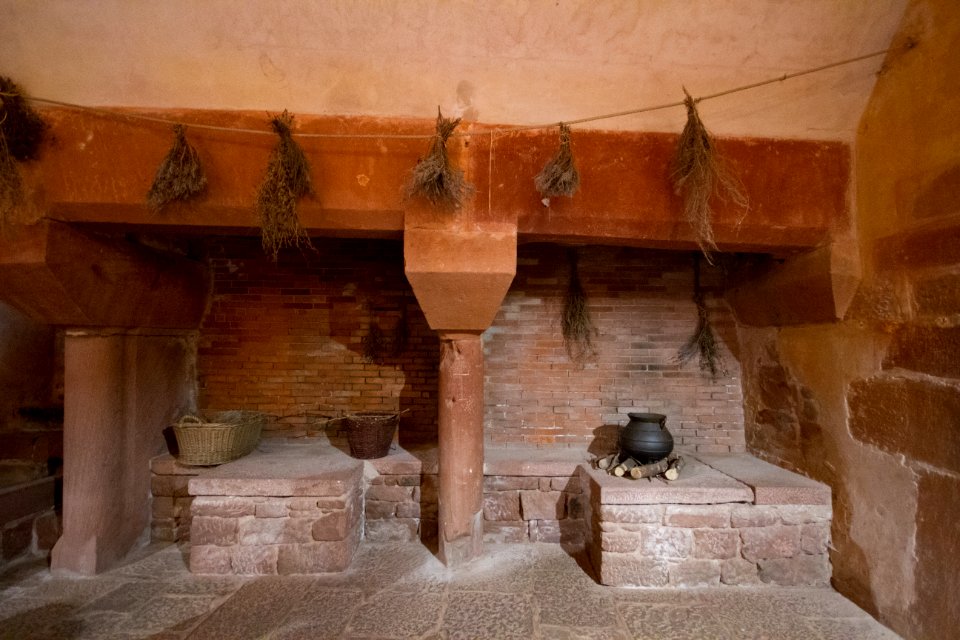 IMG 0236