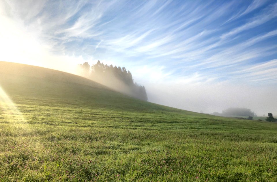 The glory of morning light