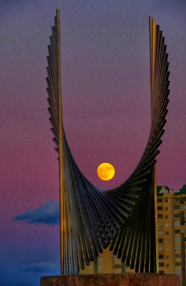 Moon's Wings, las Alas de la Luna