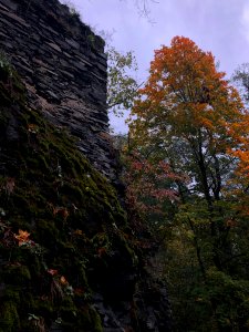 Gloomy ruins in gloomy forest in gloomy rain in gloomy autumn. photo