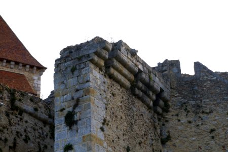 IMG 0788