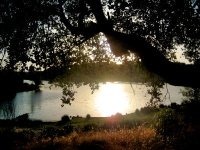Pantano de Zaos, Oliva de la Frontera